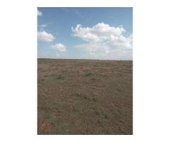 2000 acres for sale laikipia rumuruti