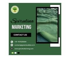 Spirulina Marketing Innovative Marketing Solutions For Spirulina