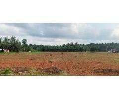 3 5 ACRES Agri LAND For SALE