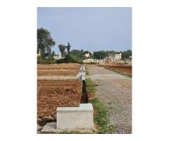 Residential plot for sale in Shamabhattara Palya Nelamangala Bangalore