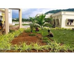 Godavari Lawn Grass Gardening - 3