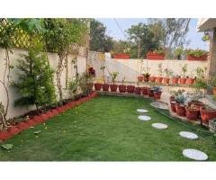 Godavari Lawn Grass Gardening - 4