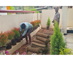 Godavari Lawn Grass Gardening - 5