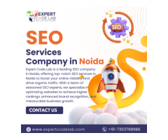 SEO Services Company in Noida