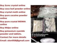 Supply 4-aco-dmt online Best price