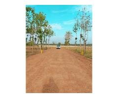 LOWEST PRICE PLOT AND MAIN ROAD FACING SITE - 4