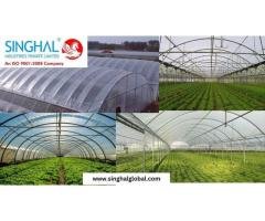 What Are Greenhouse Films