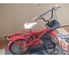 5-10 years old kid jaguar bicycle