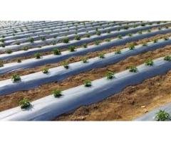 Complete Agriculture Solutions for Modern Farmers Brownfield India