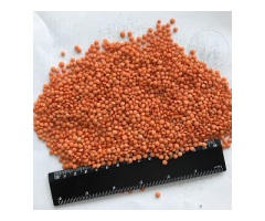 SUNFLOWER OIL SUPPLIER TANKO GROUP LIMITED TANZANIA White Corn Maize - 2