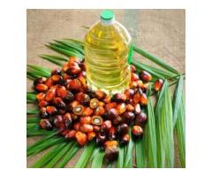 SUNFLOWER OIL SUPPLIER TANKO GROUP LIMITED TANZANIA White Corn Maize - 4