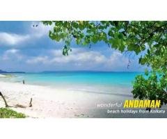 Andaman Package Tour from Kolkata Unforgettable Wildlife Encounters