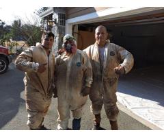 Seal in Comfort Transform Your Home with Expert Attic Insulation - 2