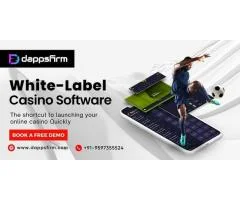 Save Time and Money with Our White-label Casino Software Solutions