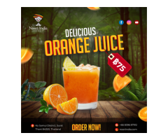 Refresh Your Day with Fresh Orange Juice