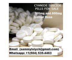 99 9 Pure Potassium Cyanide Pills, Liquid and Powder for Sale