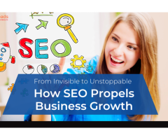 SEO Packages India