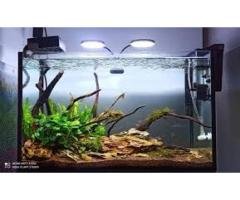 Planted aquarium light