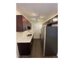 4 room apartments for Rent