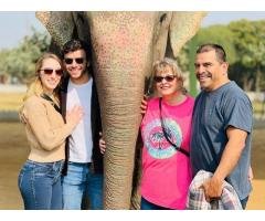 Elephant Sanctuary Elephant Ride Elephant Safari Jaipur