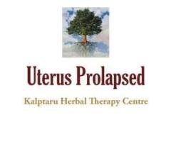 Herbal Treatment of Uterus Prolapsed