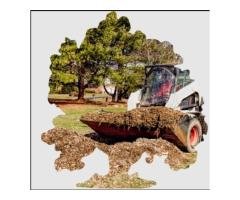 Efficient Debris Removal Service by Tree Service Expert the Fast, Reliable, and Affordable