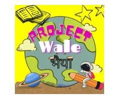 Project Wale Bhaiya