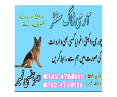 Army Dog Center Mianwali