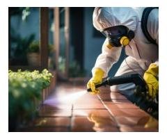 Full-Service Commercial Pest Control Melbourne by Vanguard Eco Solutions