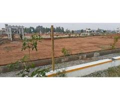 Luxury BMRDA Approved plots for sale - 2