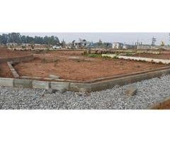 Luxury BMRDA Approved plots for sale - 3