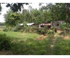 Rs 3,20,000 per bigha , 4 bigha commercial cum agri cum farm house for sale - 2