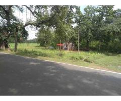 Rs 3,20,000 per bigha , 4 bigha commercial cum agri cum farm house for sale - 3