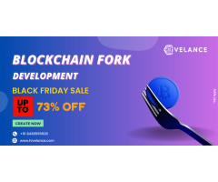 Get Blockchain Fork Development Service up to 73% offer at Hivelance Blackfriday Sale