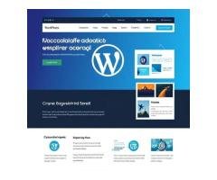 WordPress Web Design and Development Company in India