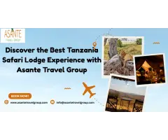 Explore Tarangire National Park Lodges with Asante Travel Group
