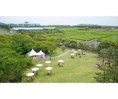 Your Expert Partner in Irrigation Design Construction - 2