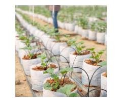 Your Expert Partner in Irrigation Design Construction - 4