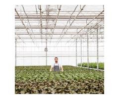 Your Expert Partner in Irrigation Design Construction - 6