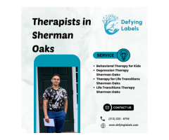 Experienced Therapists in Sherman Oaks Specializing in Foster Youth LGBTQ Mental Health Support