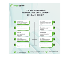 Websofy Software Pvt Ltd Trusted Web Developer in India