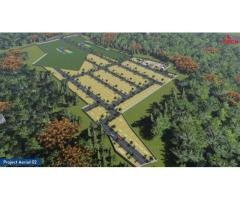 Visions orchard - 2
