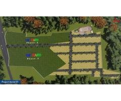 Visions orchard - 3