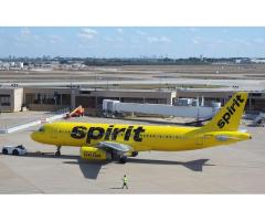 Everything You Need to Know About Frontier Terminal DTW