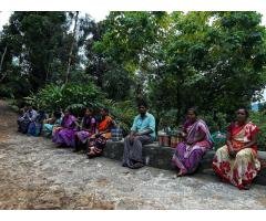 URC Thulasi Estate - 5