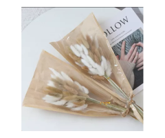 Preserved Flower Bunny Tail - jasmineflower