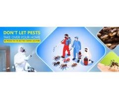 Dubai Health Approved Summer Off 35% Pest Control