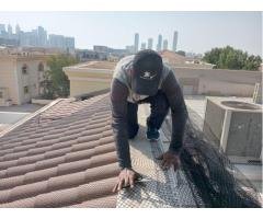 Dubai Health Approved Summer Off 35% Pest Control - 2