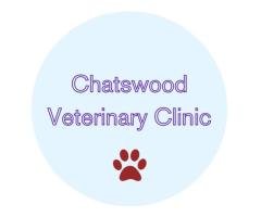 Chatswood Veterinary Clinic Vet Clinic Sydney