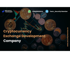 How Do I Choose The Best Crypto Exchange Development Company For The Development